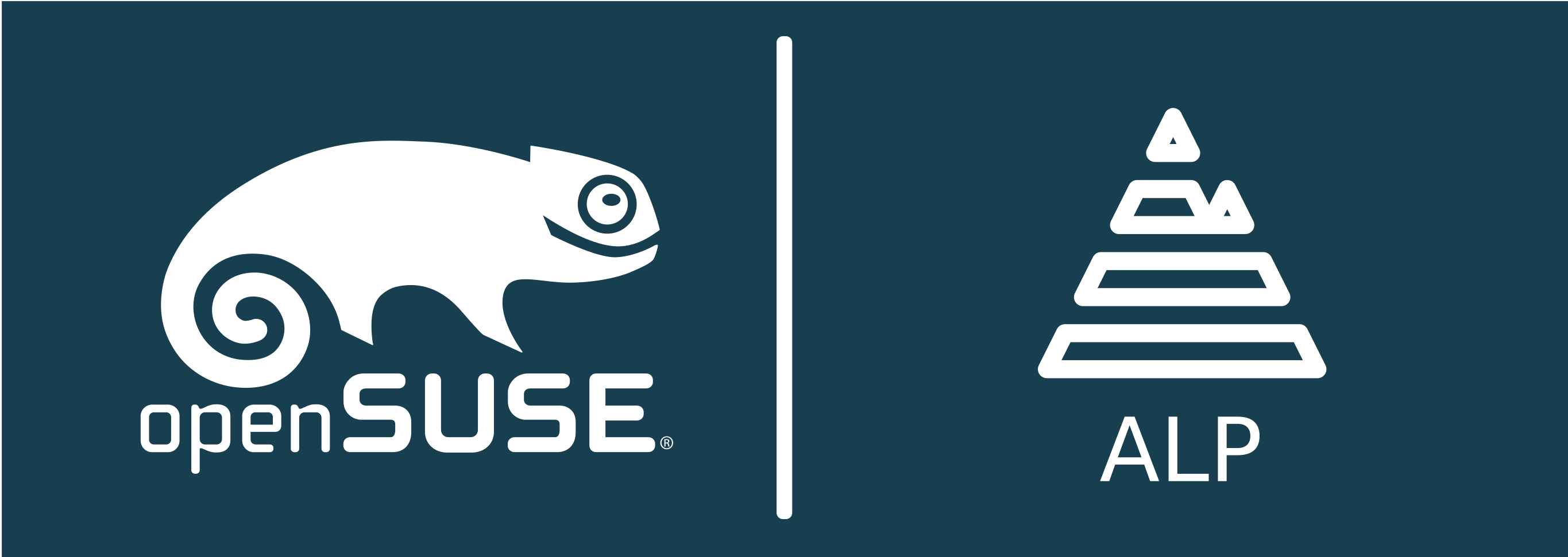 MicroOS 安装研讨会，计划中的反馈会议